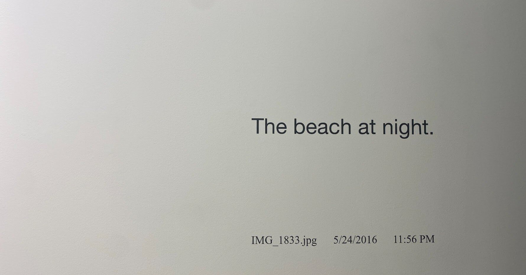 現代写真マガジン「POST/PHOTOLOGY」#0004／デヴィッド・ホーヴィッツ