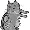きゃたぴぃ