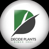 DECIDE PLANTS/ヒロセユウタ