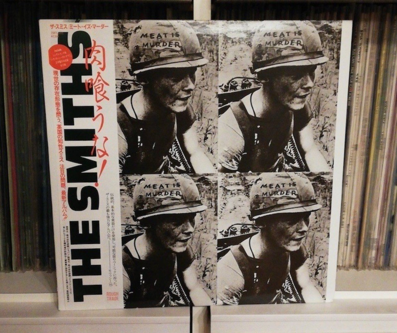 d50234a743f565269e56c6d2602033