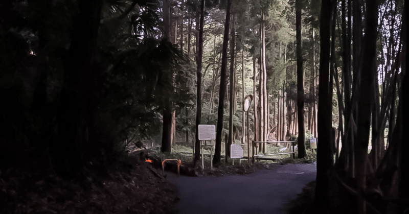 森の小道