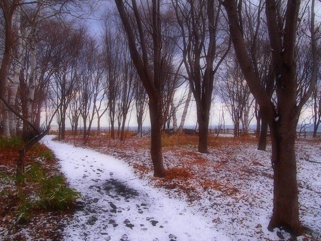 久しぶりに散歩。冬も雪も嫌いだけど、きりっと冷え切った空気はすき。しっかりしなさい、と言われている気がして気が引き締まる。