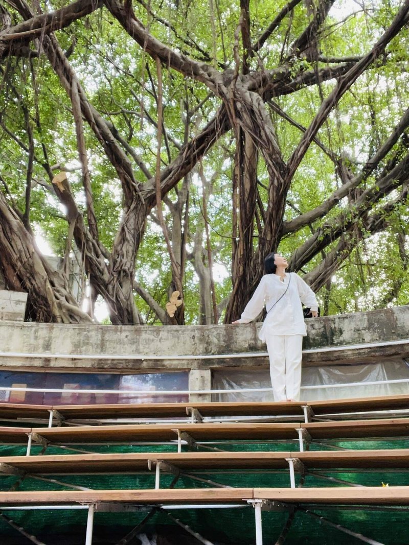 バンコクにあるサティラダンマサタンには多くの瞑想スペースがあり、葉の生い茂る大きな木の下で瞑想をしました。