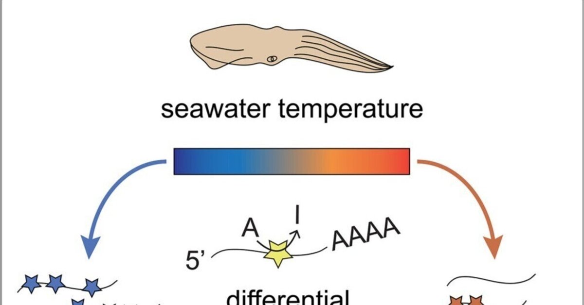 EDDY TRANS N-70E 温度調整器 EDDY TRANS N-70E 温度調整器