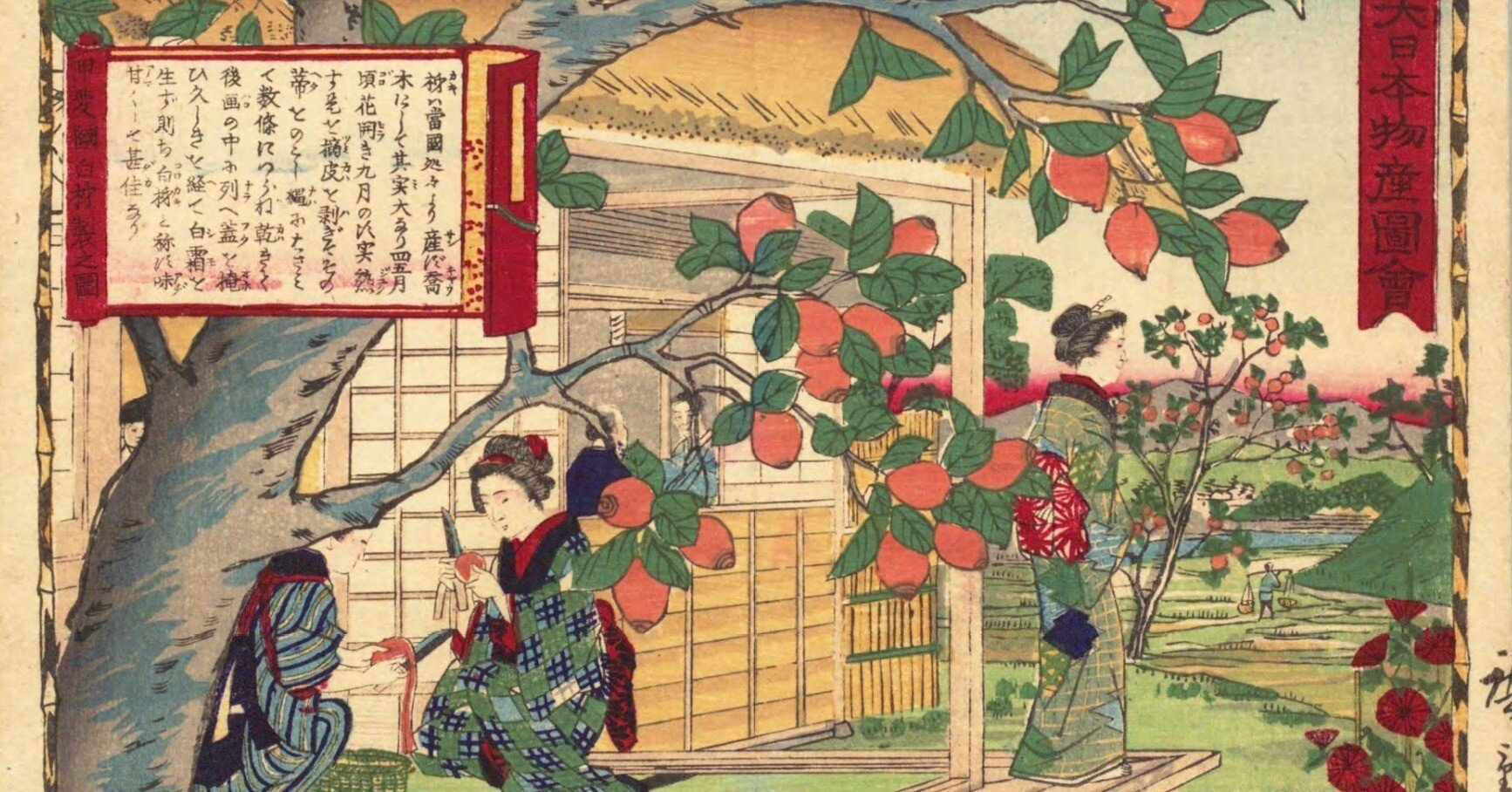 甲斐国 白柿製之図｜mominaina