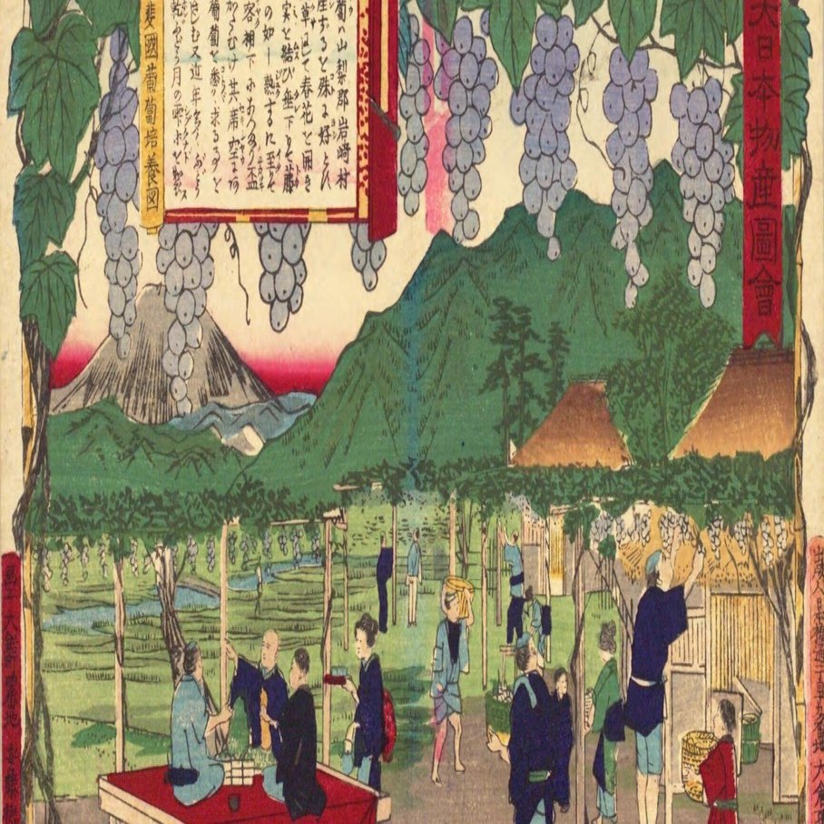 甲斐国 葡萄培養図｜mominaina
