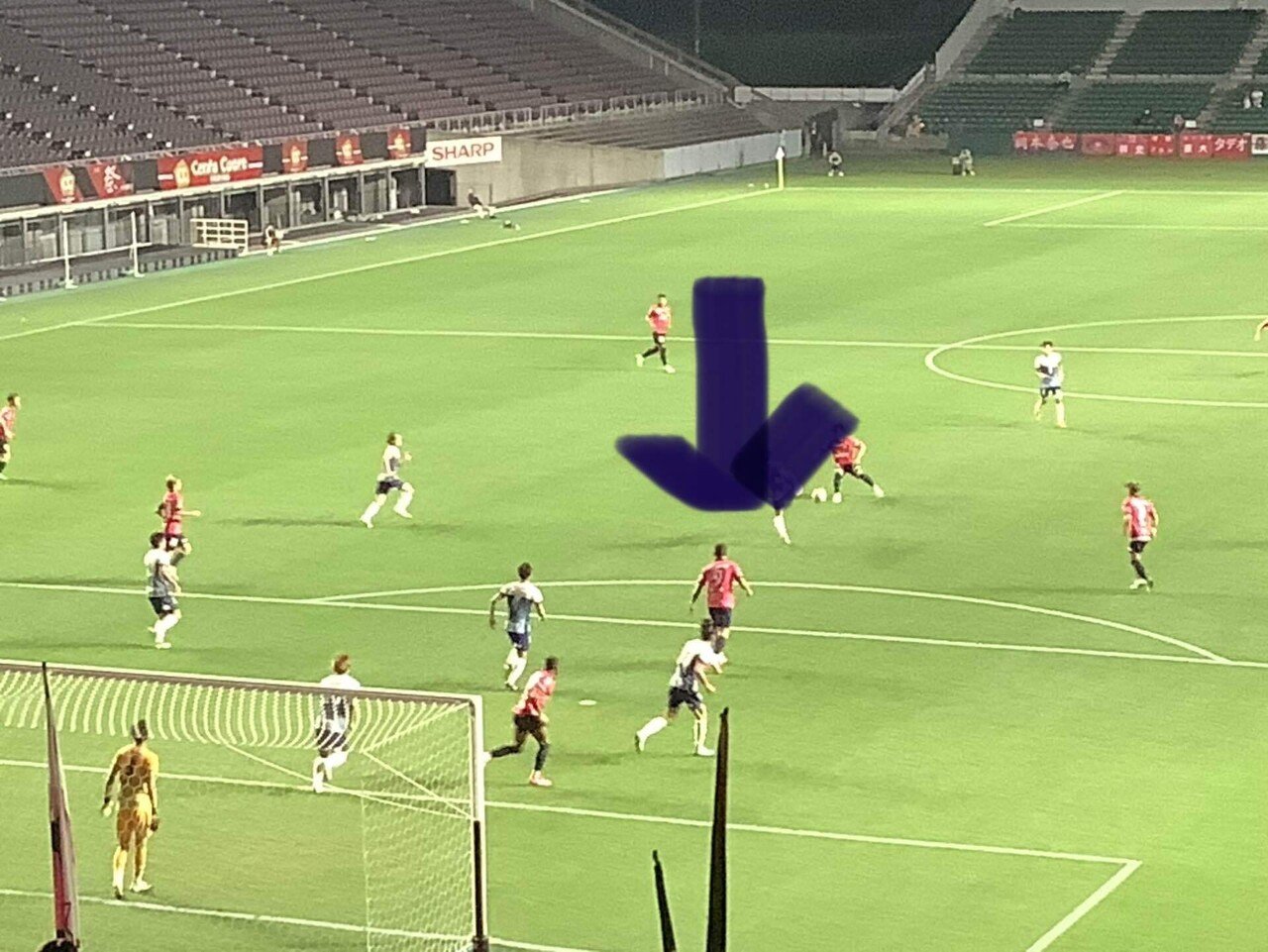 セアラのエネルギーは 110 と 220 のどちらですか?