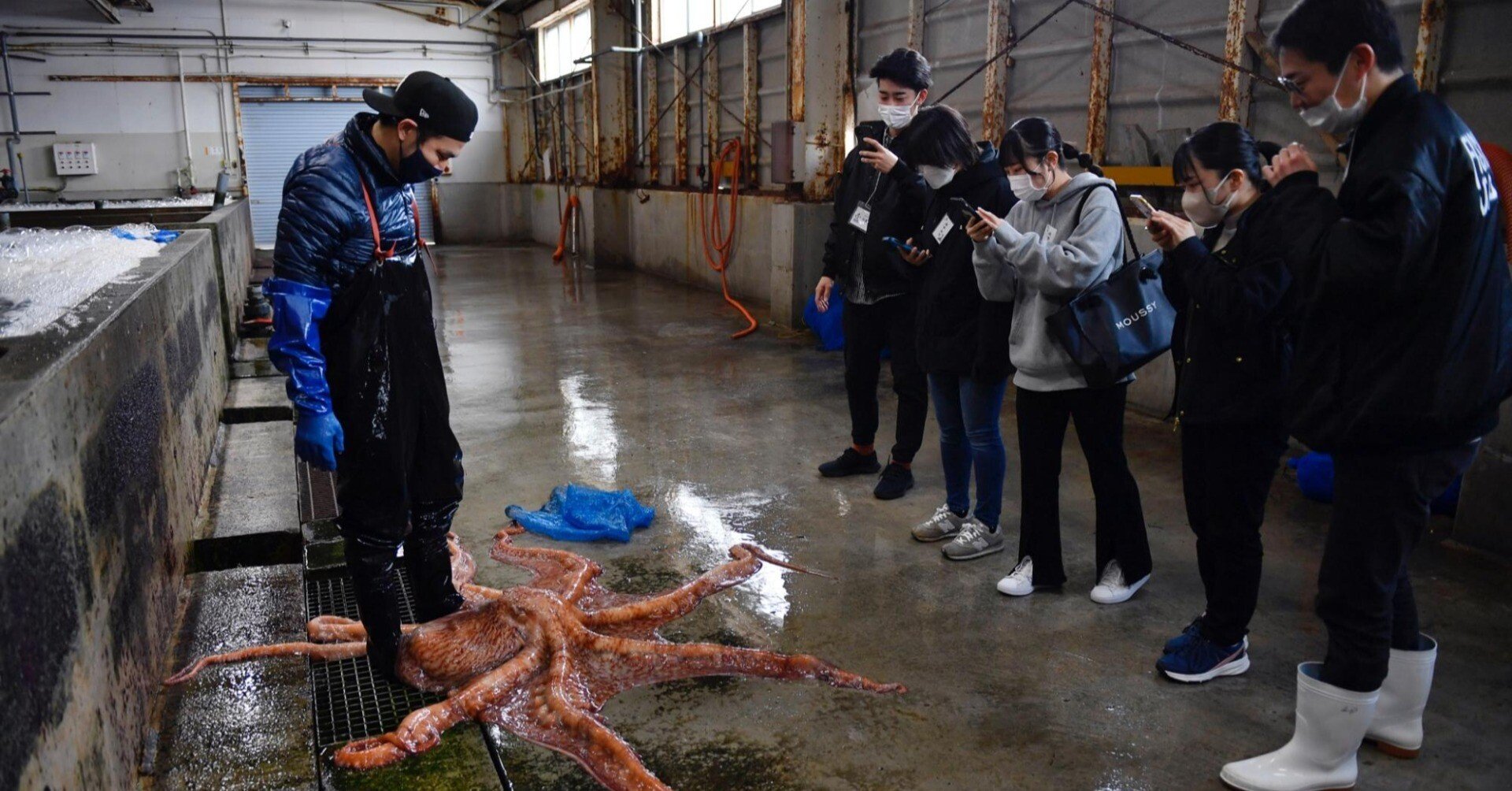 タコってどうやったらバズりますか？すギョいバイト3日目レポート