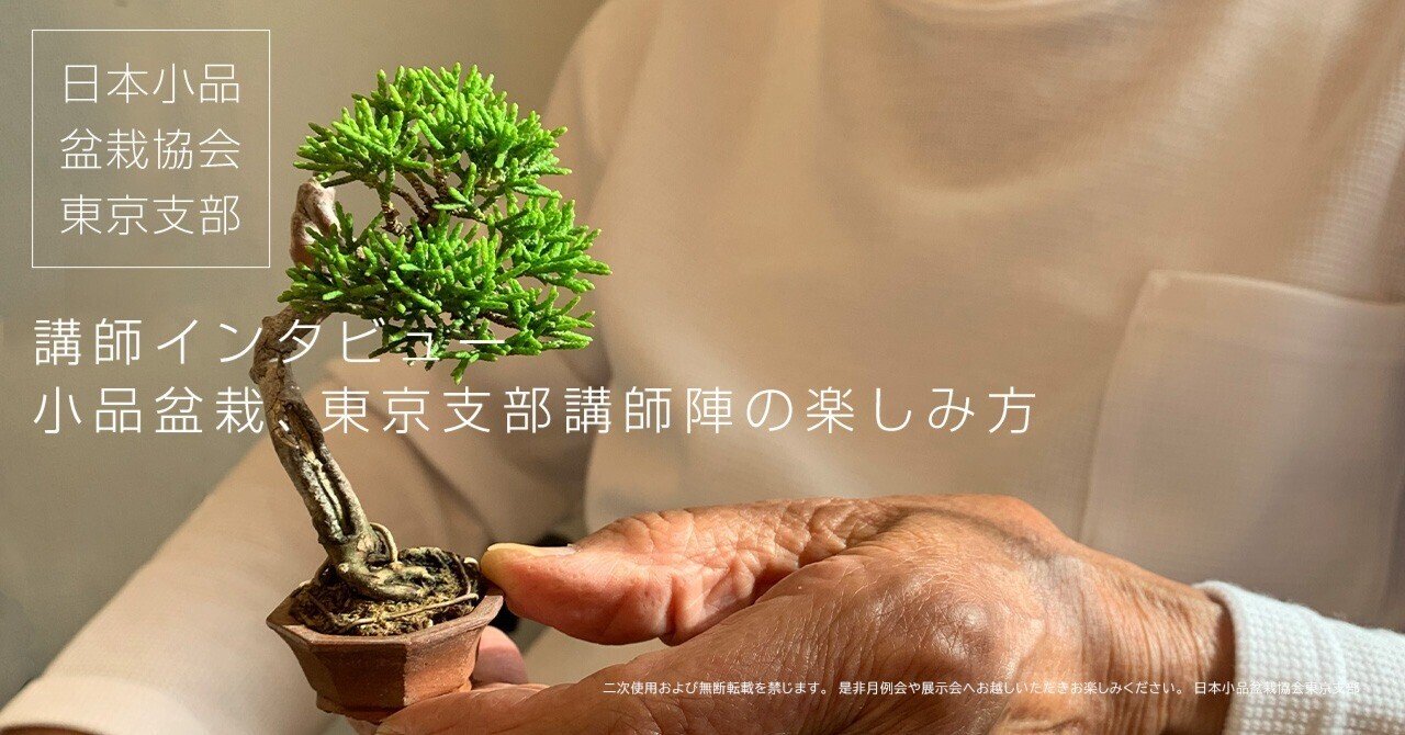 盆栽]真柏/貴方なら素晴らしく変えられるでしょう？ ☆ENGEI ichioki