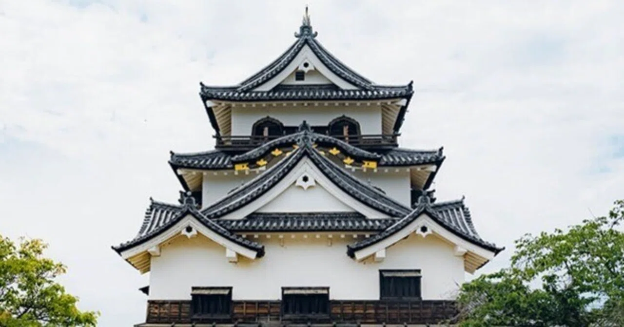 名城 美しき国宝天守 彦根城 ｜ 日本100名城登城記｜だいひょう｜奈良の植物図鑑