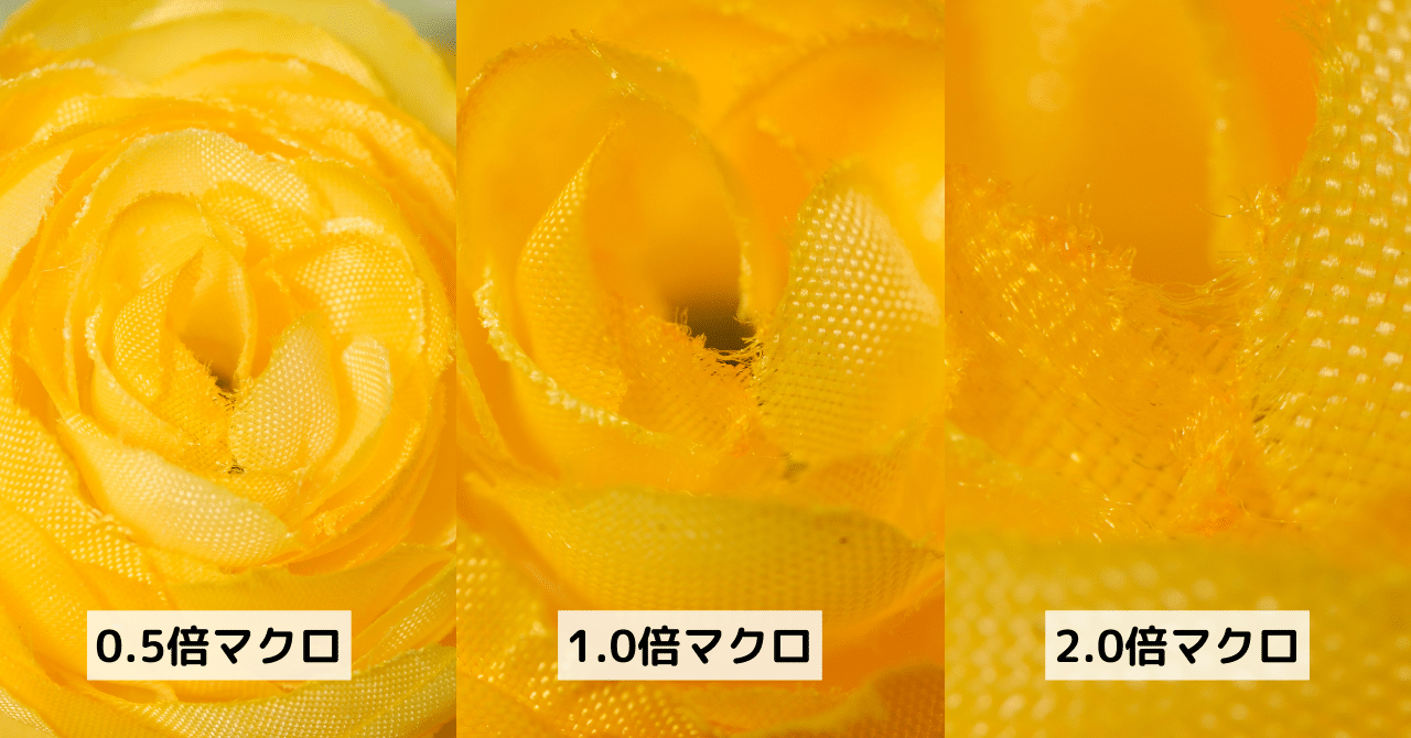 ミラーレス一眼のマクロレンズ。結局どれだけ大きく写せるのか比較した