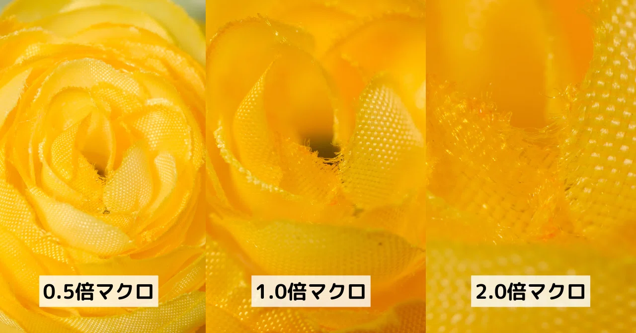 Canon ミラーレス一眼　マクロレンズ 昆虫撮影やマクロ撮影に使うマクロレンズまとめ（Nikon/Canon/OLYMPUS