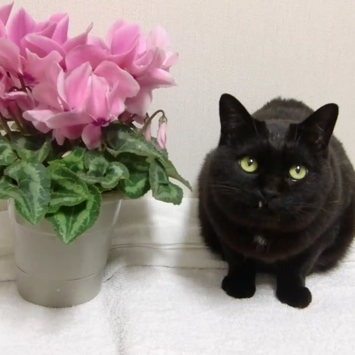 里塚一平