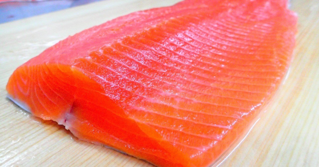 23歳起業 サーモンで生きていく｜横山 大樹