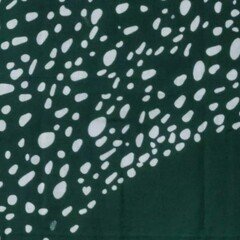 噺家の手ぬぐい 橘右橘｜五明樓玉の輔💋