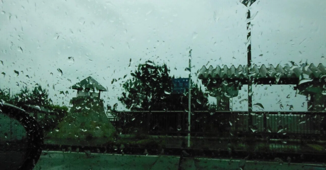 雨降り|木