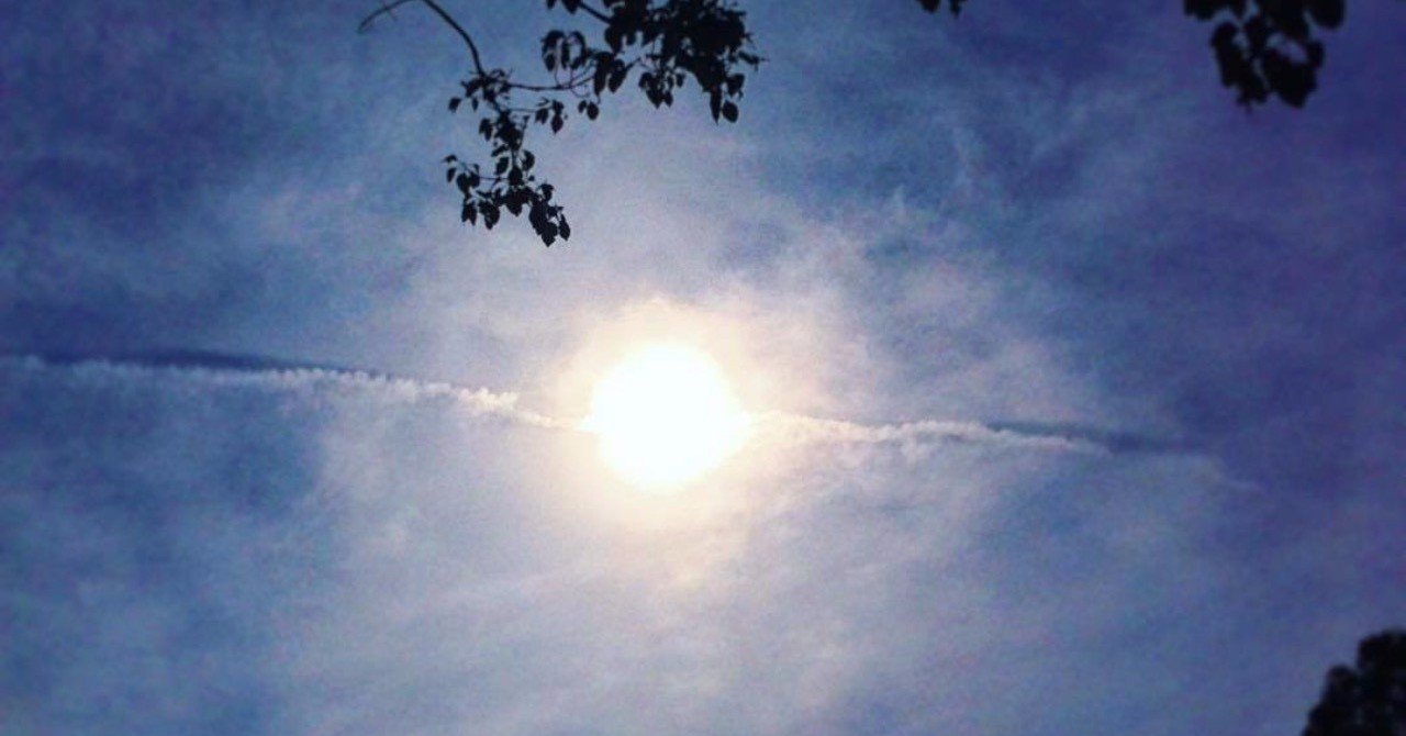 4月のいて座の運勢 しいたけ占いのしいたけ