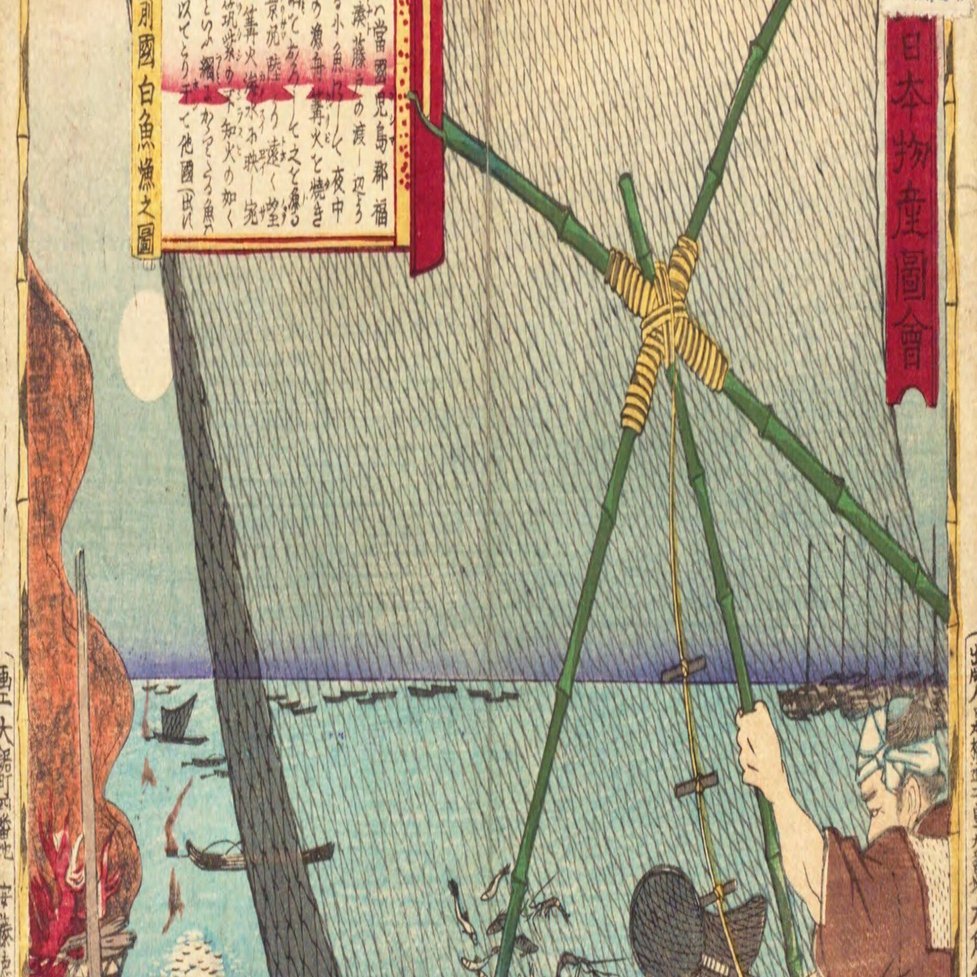 備前国 白魚漁之図｜mominaina