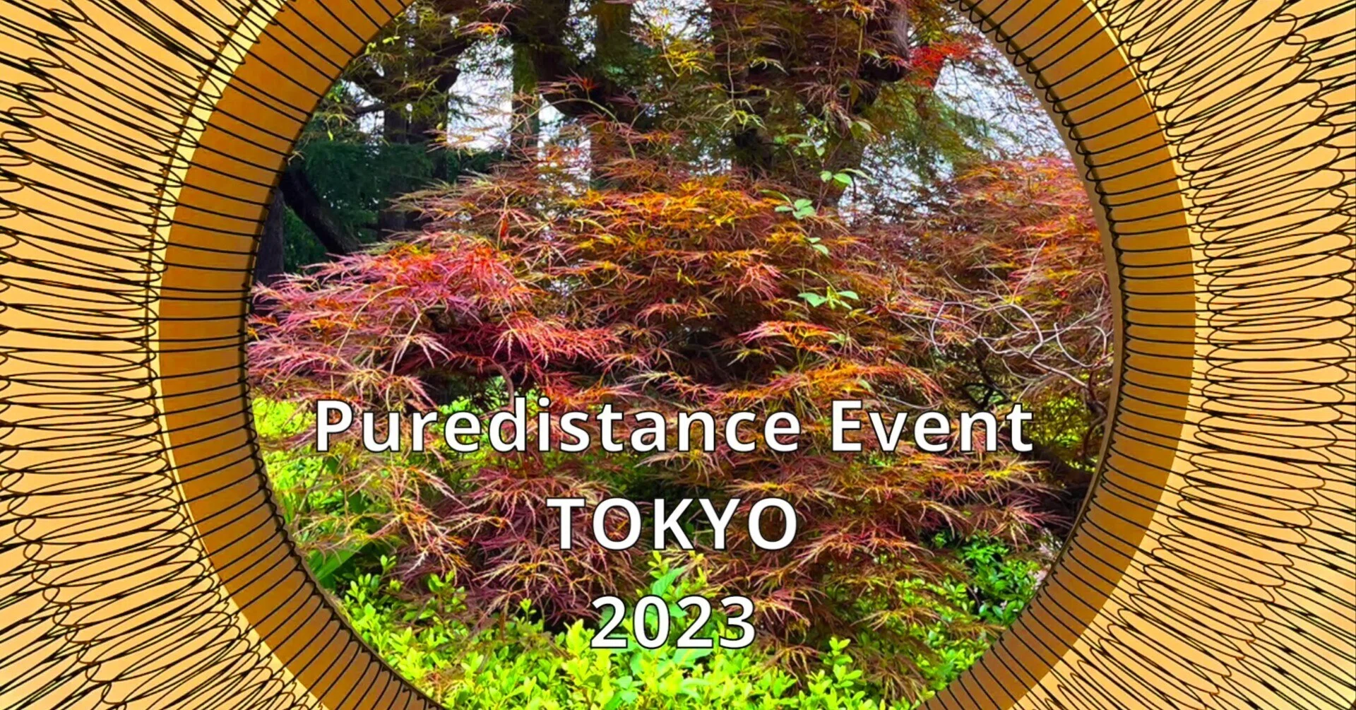 未開封】パピリオ ピュアディスタンス pure distance 17.5ml 未開封】パピリオ ピュアディスタンス pure distance 17.5ml