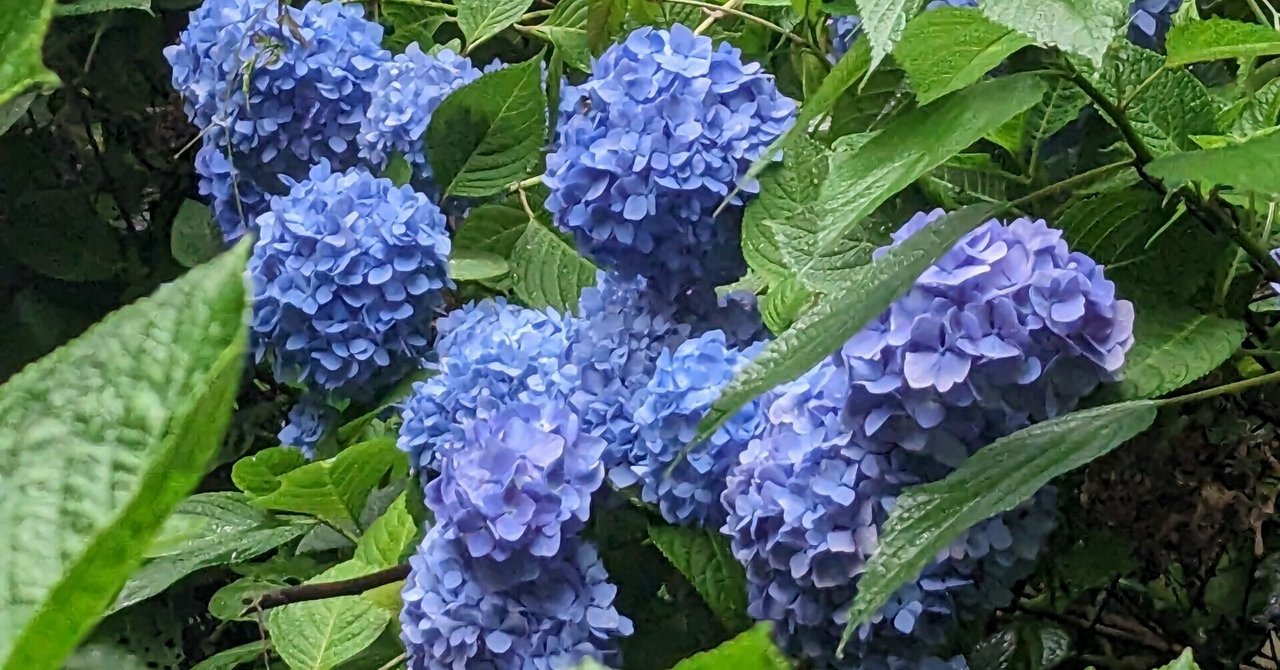 雨☔滑りがち⚠