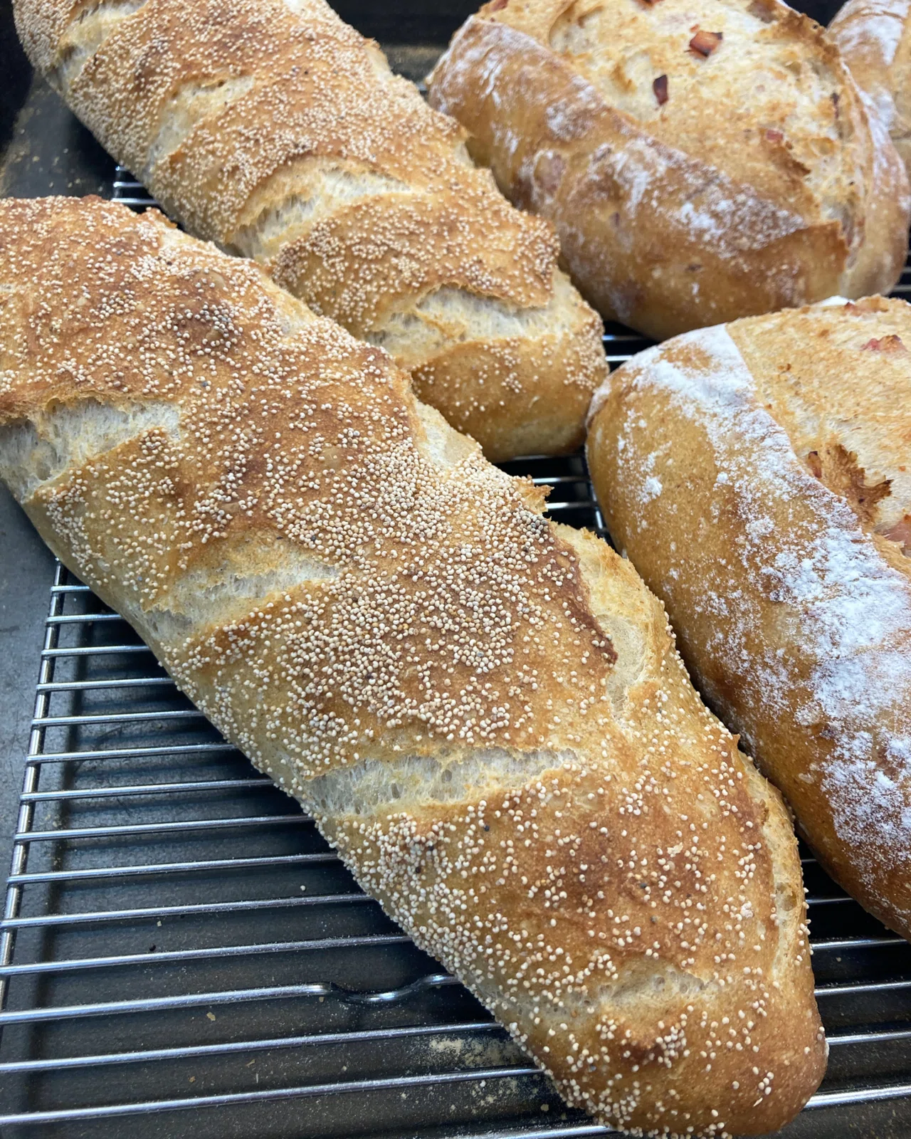 発酵かごにカバーがついた！｜Threebread