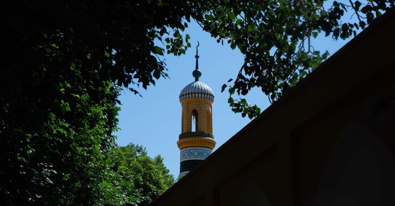 【1ぺア】パルナシウス・アポロ（中国/新疆省） 世界銀行、中国・新疆ウイグル自治区でのプロジェクト監視強化へ