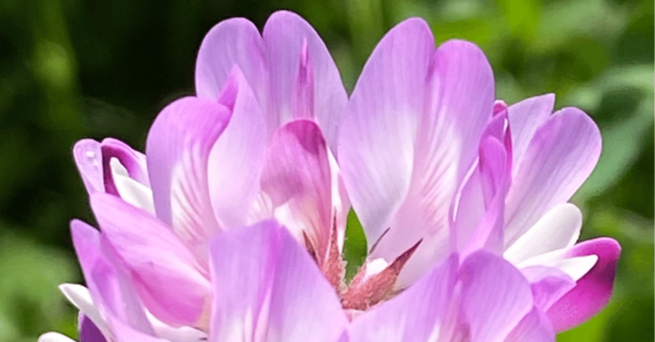 rectangle_large_type_2_30c2f82