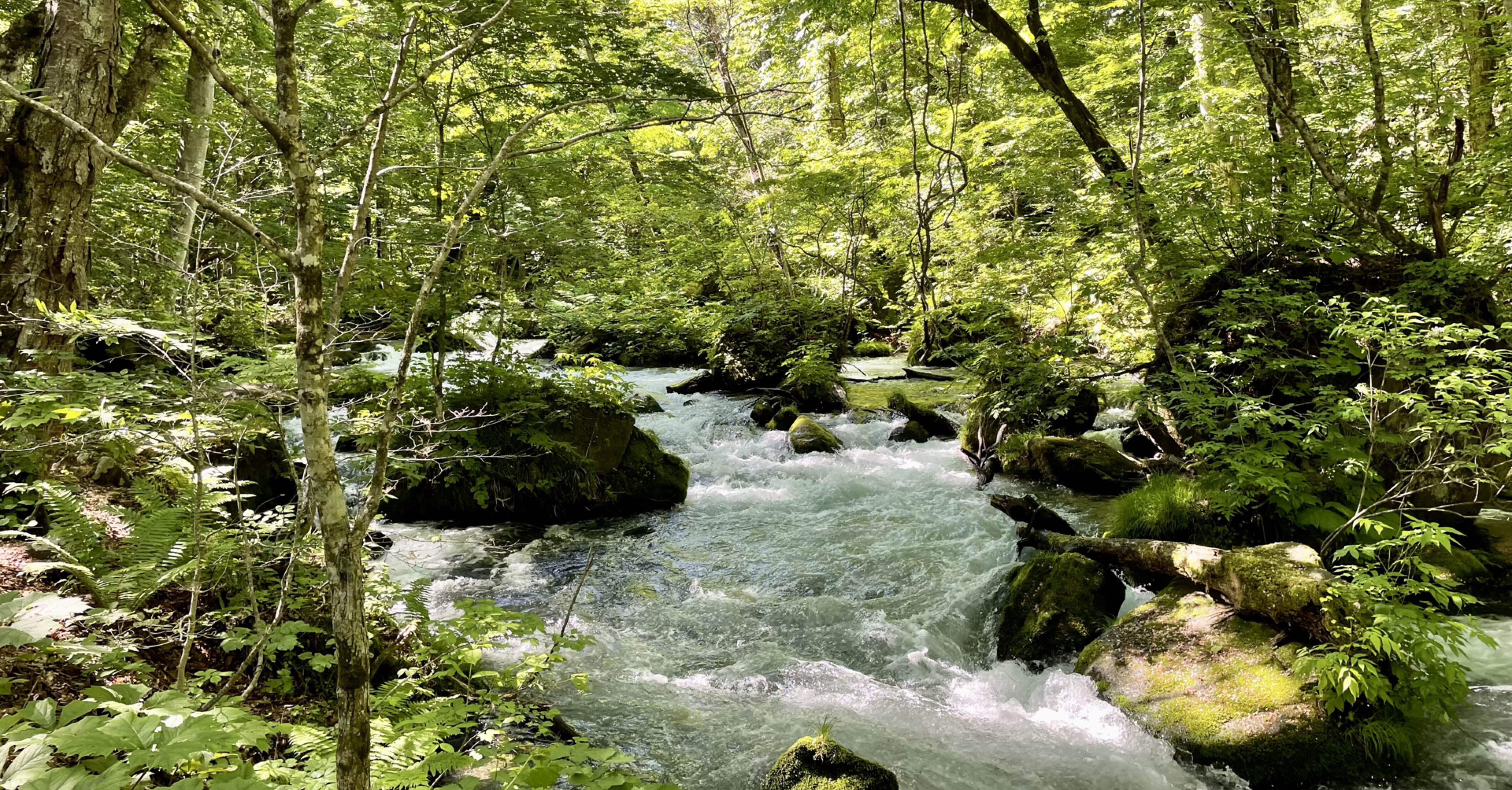 1942b26b289007ef3ef80063e956f2