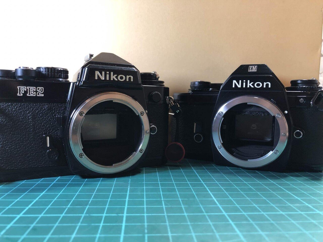 Nikon EMはカッコいいのか|a_photo Nikon EMはカッコいいのか|a_photo
