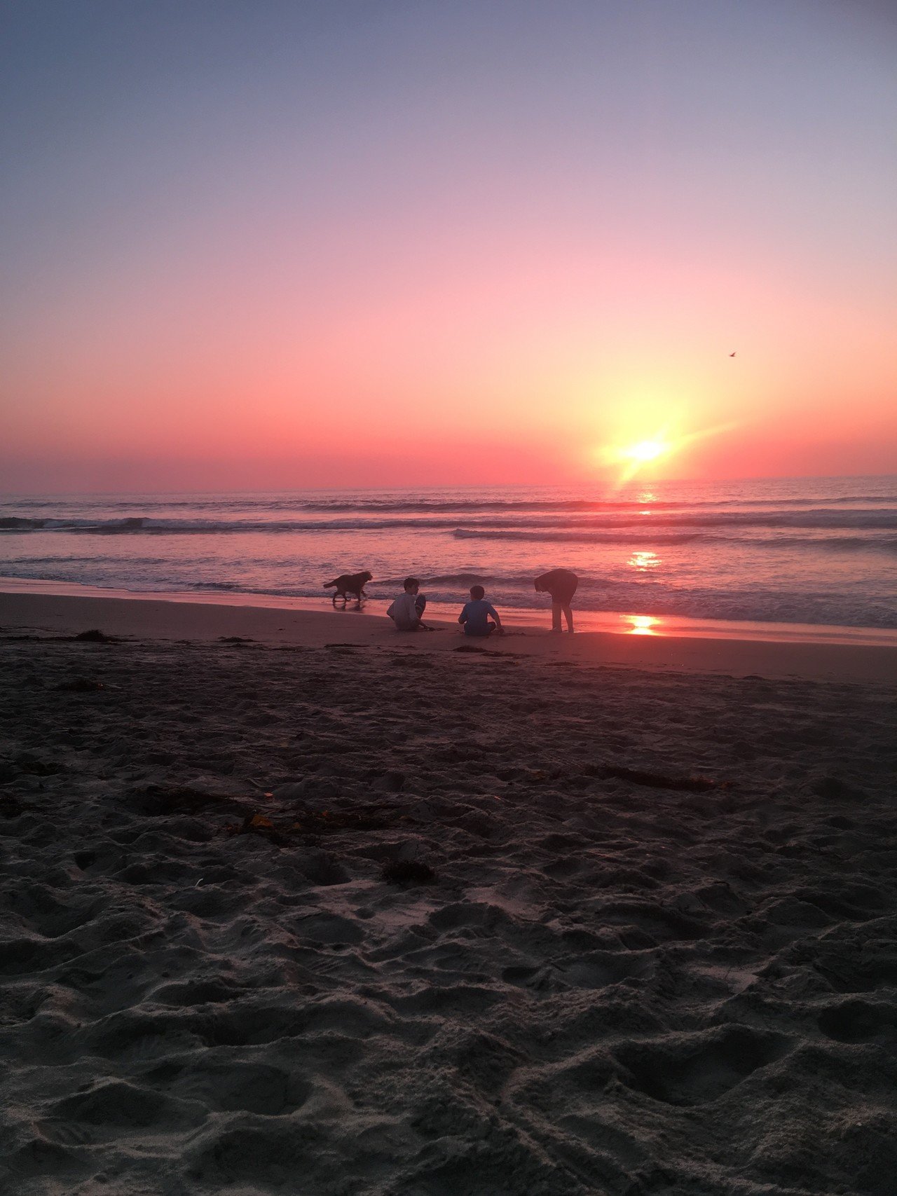 Sunset In The Sea Komeko Note Sunset In The Sea Komeko Note