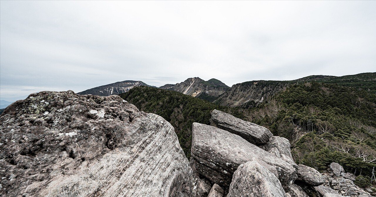 初！八ヶ岳ソロ山のぼりに大興奮〜苔の森とニュウ〜｜ほんだよしこ