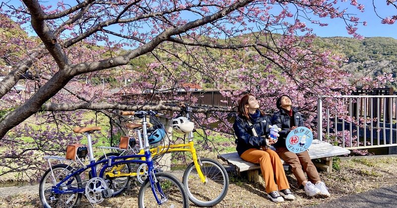 【南伊豆㊙︎ぽたりんぐ Ep3《みなみの桜と菜の花まつり》】 SURUGA Cycle Journal Vol.145
