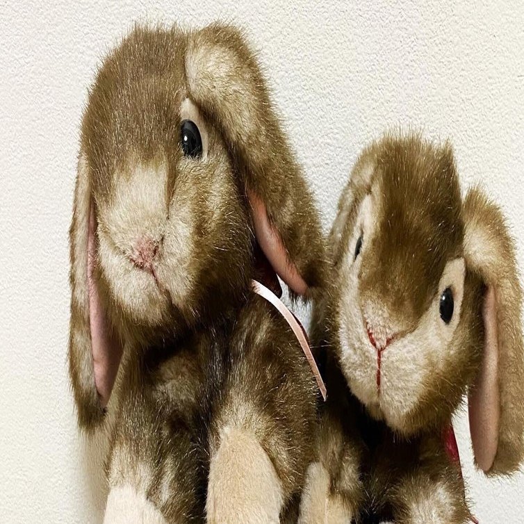 吉徳さんの「ロップイヤーウサギ」｜みィ