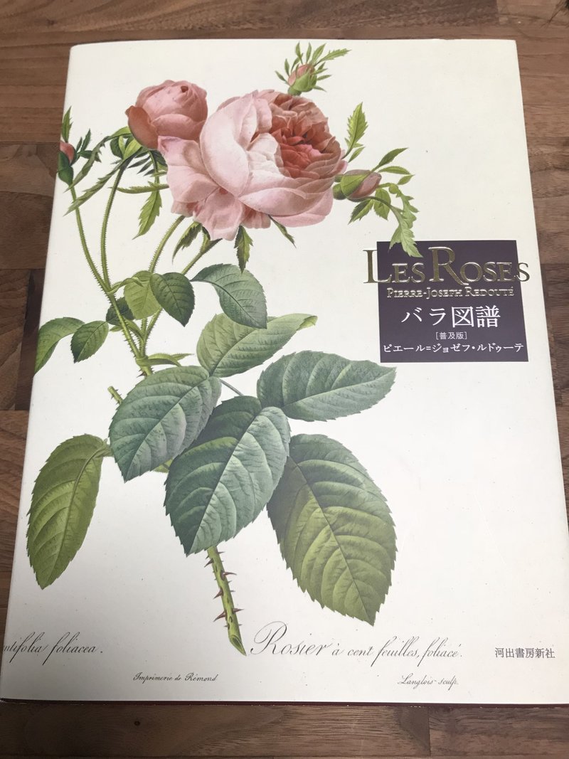 星の王子さま Aya Note 星の王子さま Aya Note