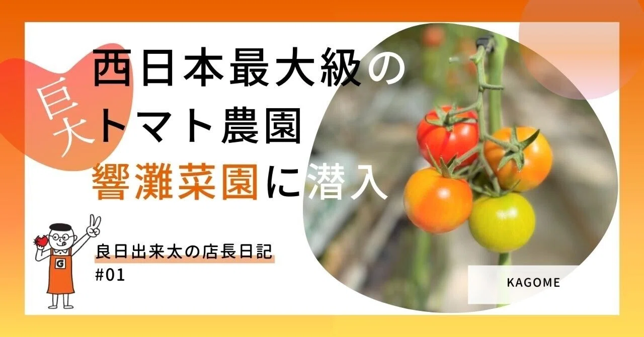 西日本最大級のトマト農園！『響灘菜園』に潜入＜良日出来太の店長日記