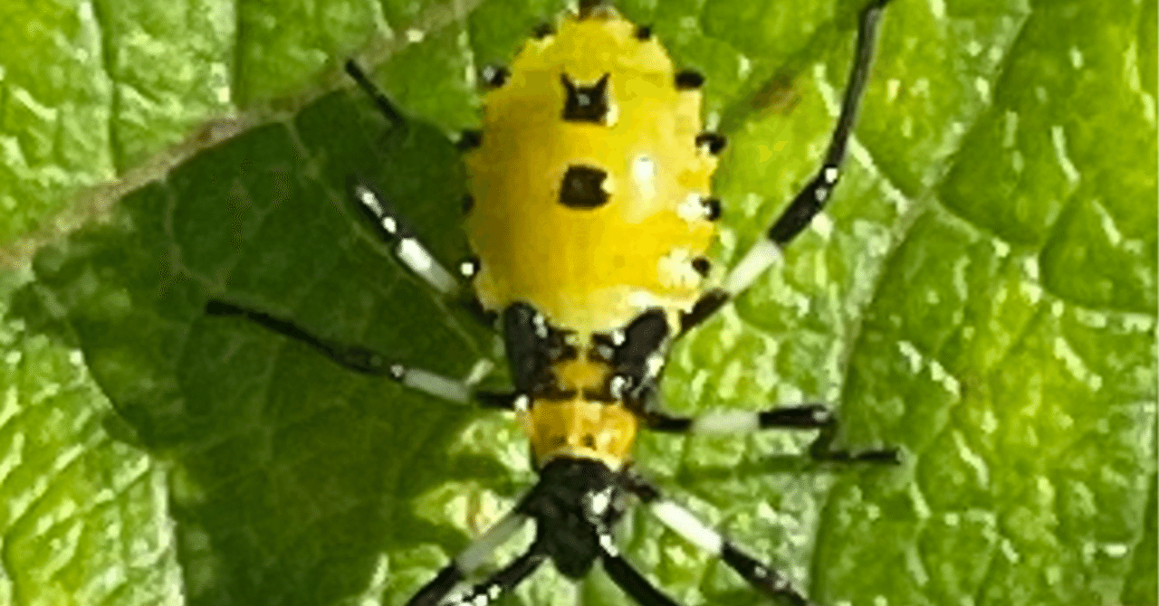 りんご虫 画像検索（害虫）リンゴの病害虫 | 農業害虫や病害の防除・農薬情報