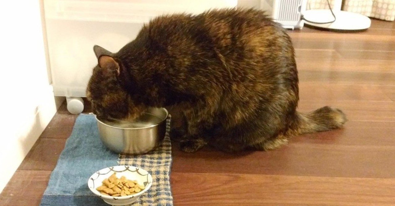 腎不全の猫と長く生きるために 3 宮子あずさ 看護師 著述業 Note 腎不全の猫と長く生きるために 3 宮子あずさ 看護師 著述業 Note