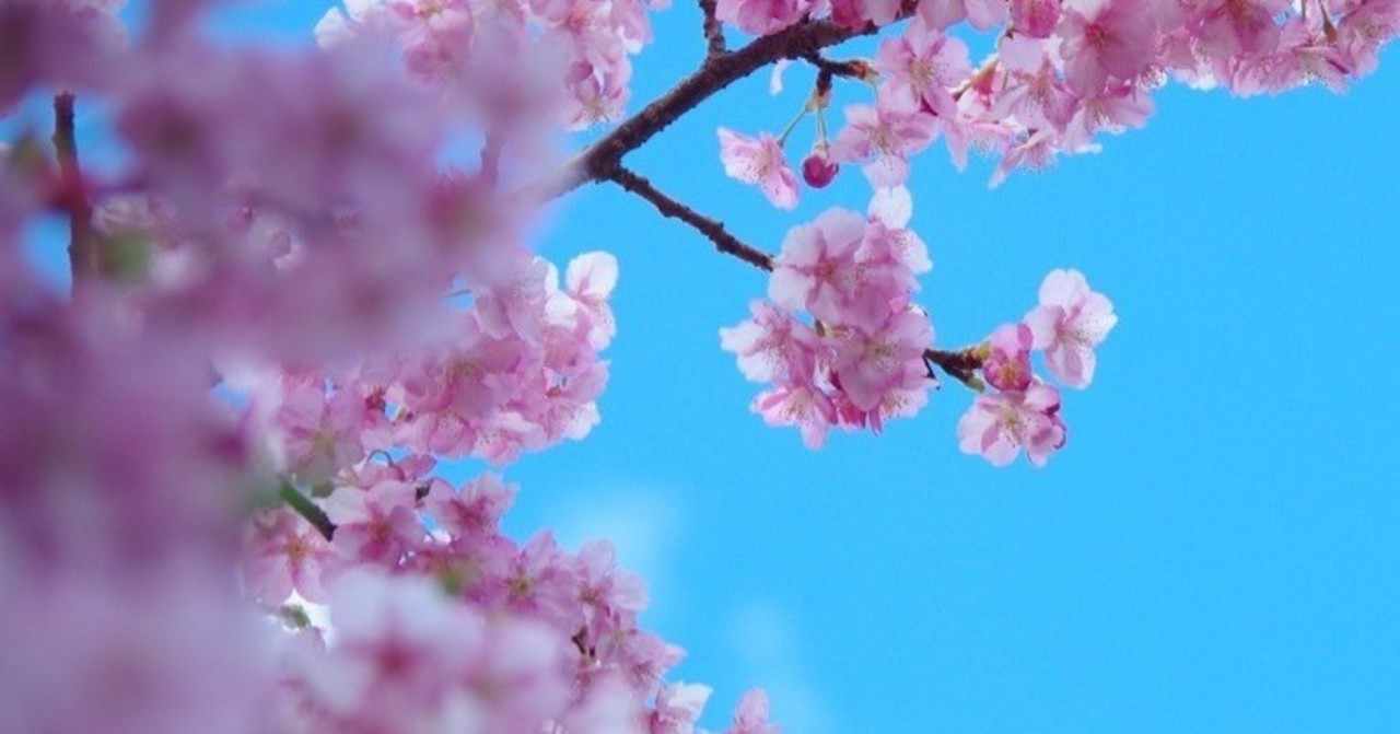 フットワーク軽い芸人 の新着タグ記事一覧 Note つくる つながる とどける