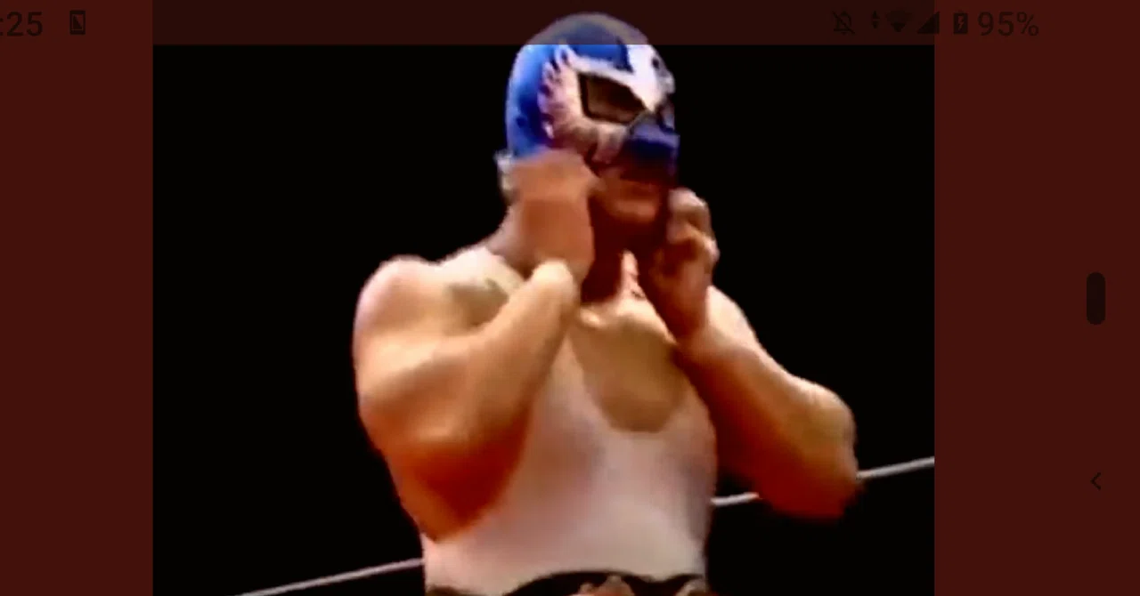 値下！アクエリアス(TAJIRI )本人使用済みマスク (ECWロゴ) 値下