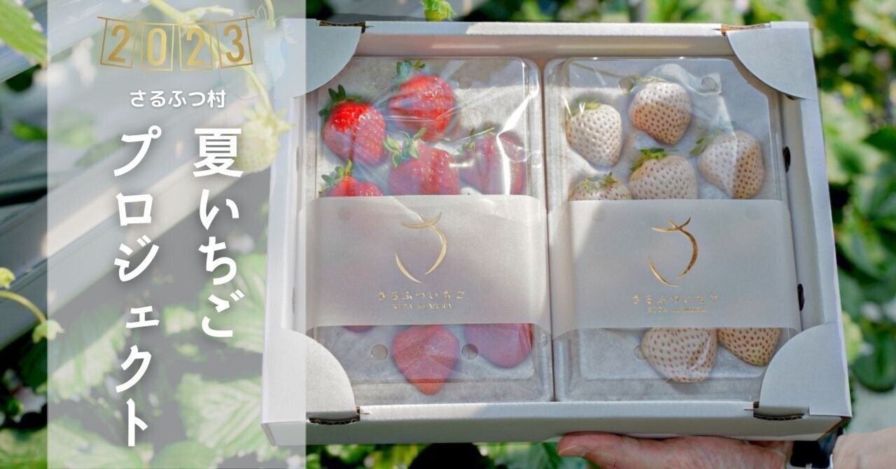 いちご様連絡ページ 🍓トベリー通信🍓 ～にし阿波いちごタウンPROJECT～ - 東みよし町