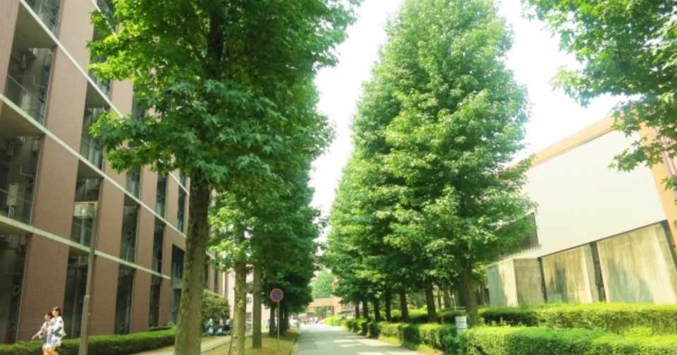 教養学部でおすすめの大学4選 国公立編 Npo法人パラダイム Note