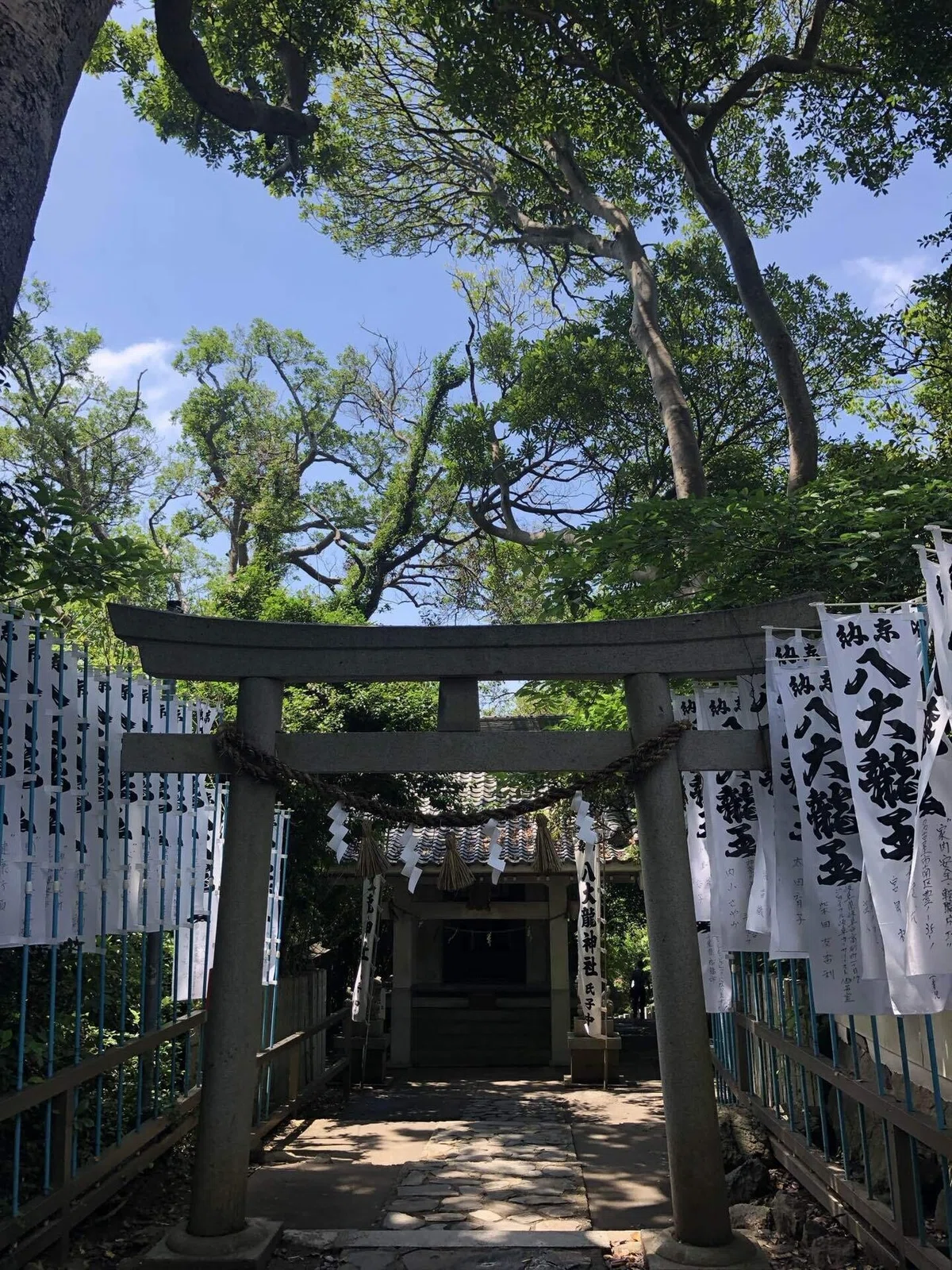 画像