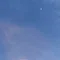 紺