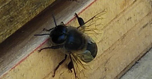 a060f2c9bdfa4ee7a508abba86bc1b