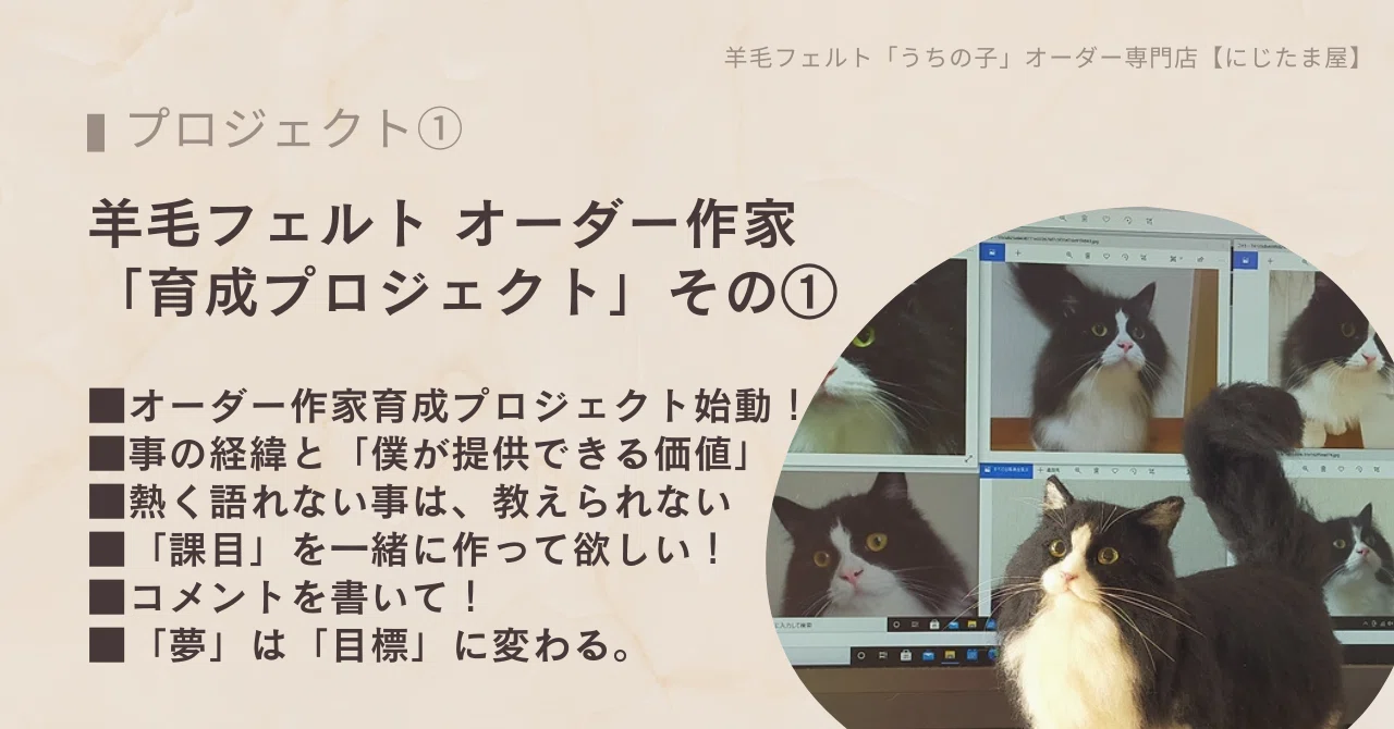 羊毛フェルト「オーダー作家育成プロジェクト」始動します