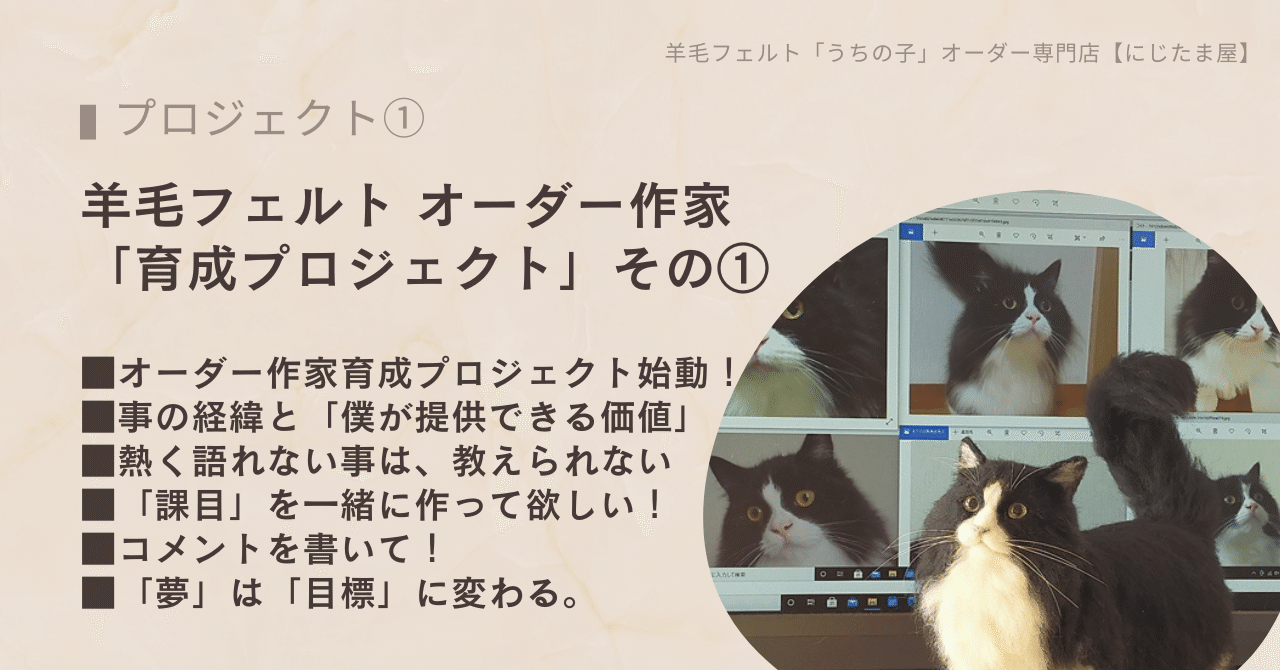 【日本未発売】 オーダー受付中❤️羊毛フェルト 若かっ たこ焼きNO2 羊毛フェルト
