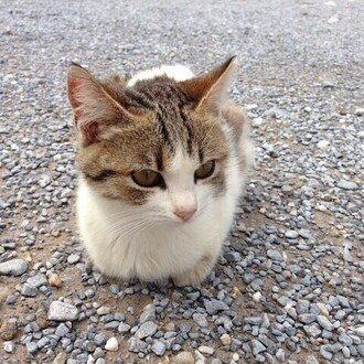 トップに移動