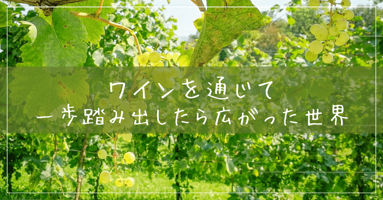 自己紹介、writer