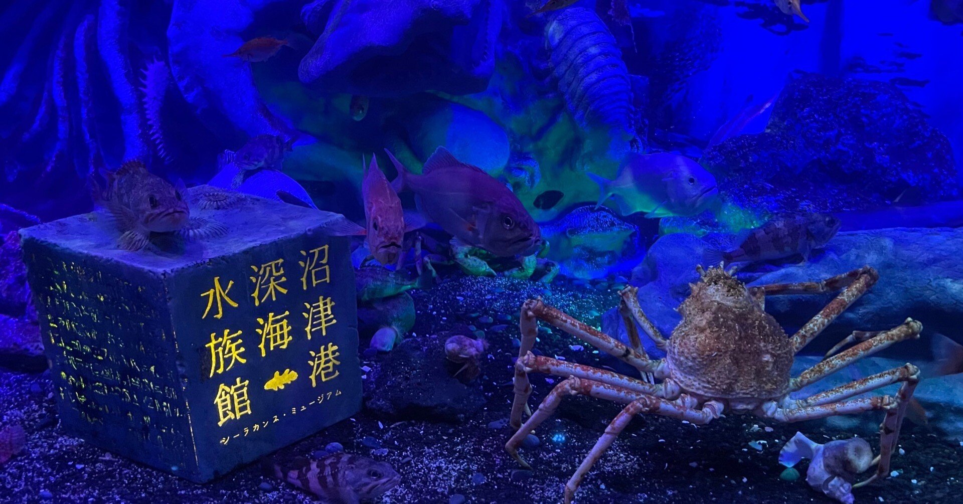 941b18bdf3750051f8a2c29a8d9ba6