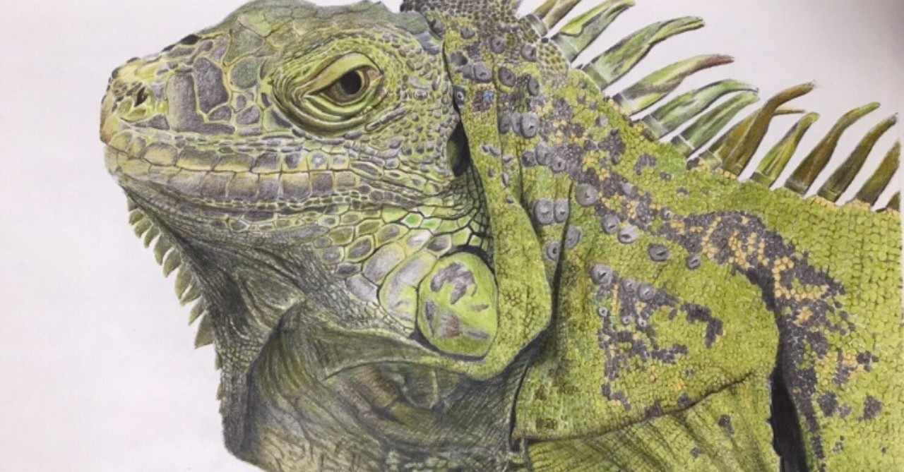 イグアナ の人気タグ記事一覧 Note つくる つながる とどける